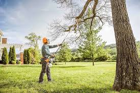 Best Hedge Trimming  in Rolling Meadows, IL